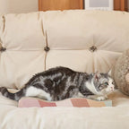 Cardboard Cat Scratcher Lounge Bed
