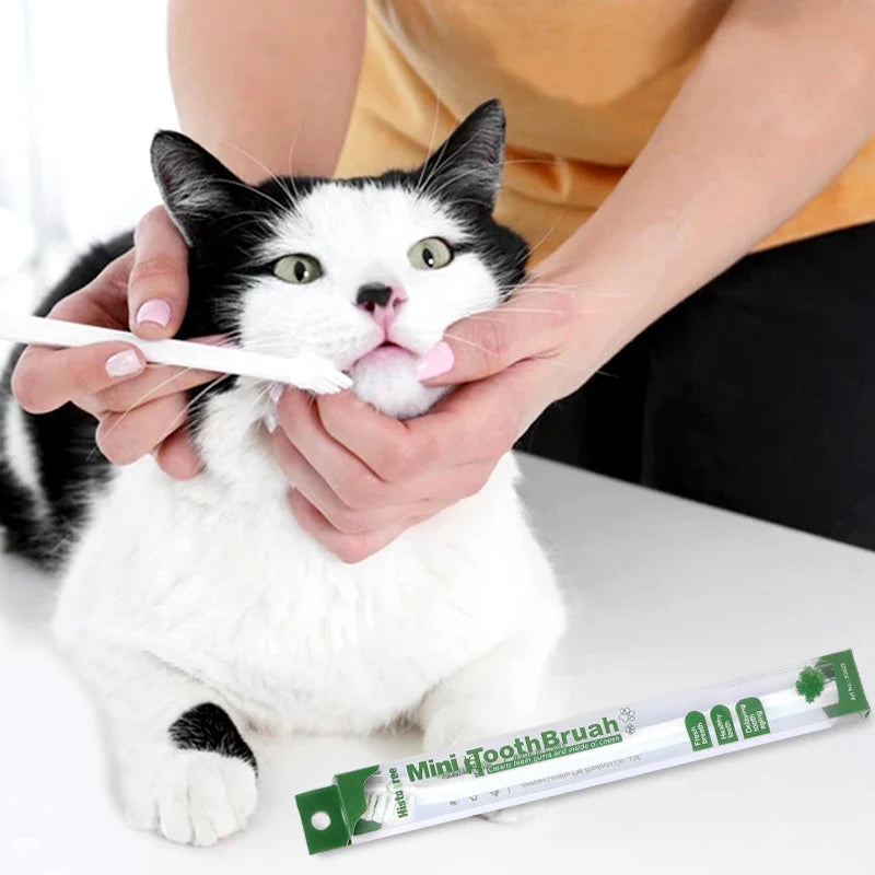 Micro 360° Teeth Cleaning Tool for Dogs & Cats