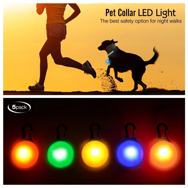 LED Dog Collar Light – Colorful Flashing Pet Safety Light