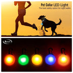 LED Dog Collar Light – Colorful Flashing Pet Safety Light