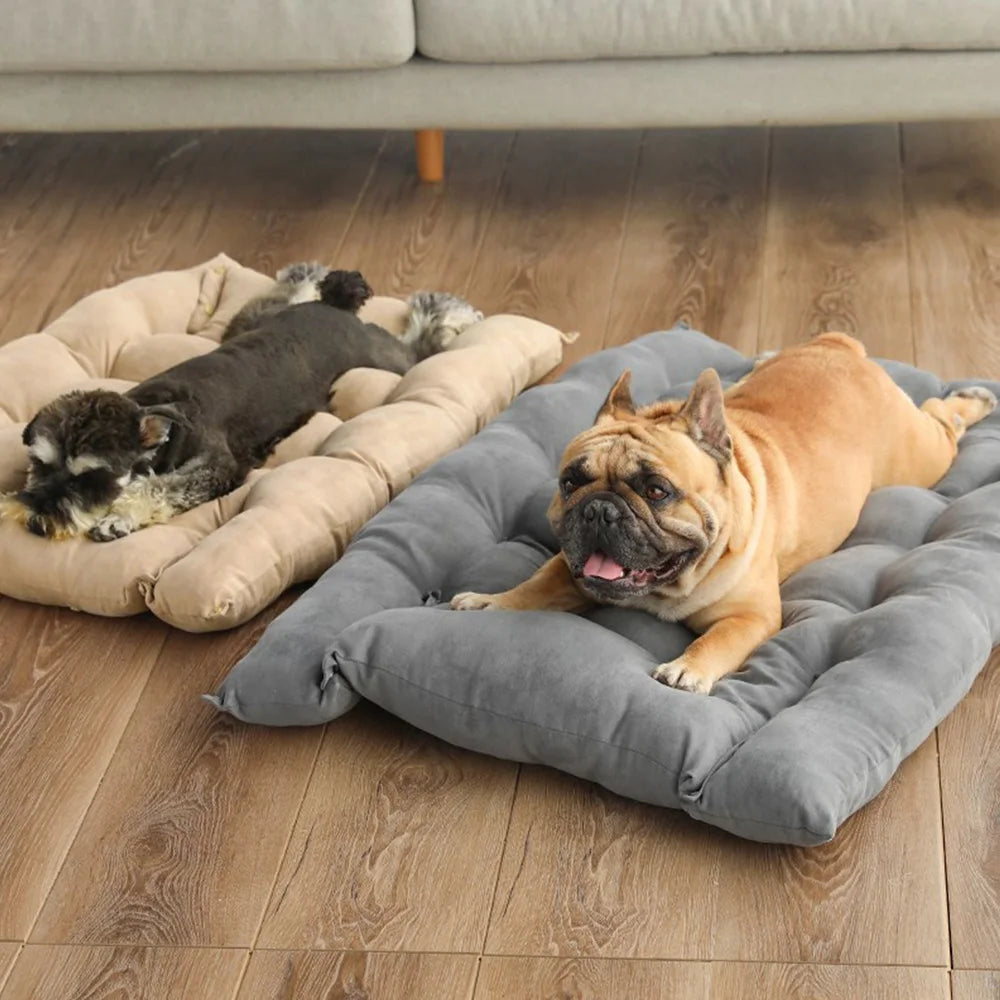 Warm Dog Sofa Bed – Thick Washable Winter Bed for Dogs & Cats