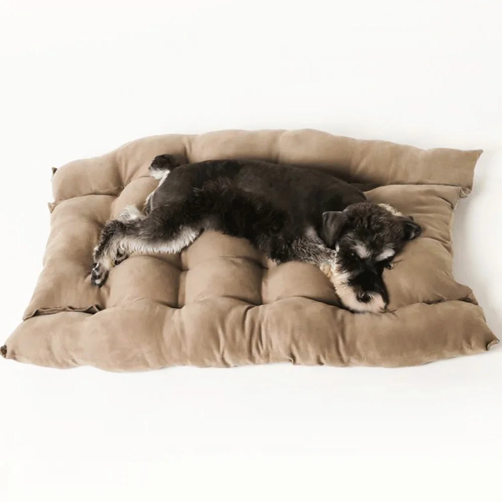Warm Dog Sofa Bed – Thick Washable Winter Bed for Dogs & Cats