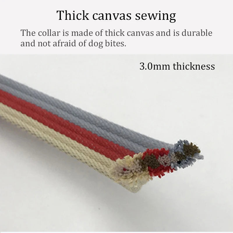 Canvas Dog Collar and Leash Set