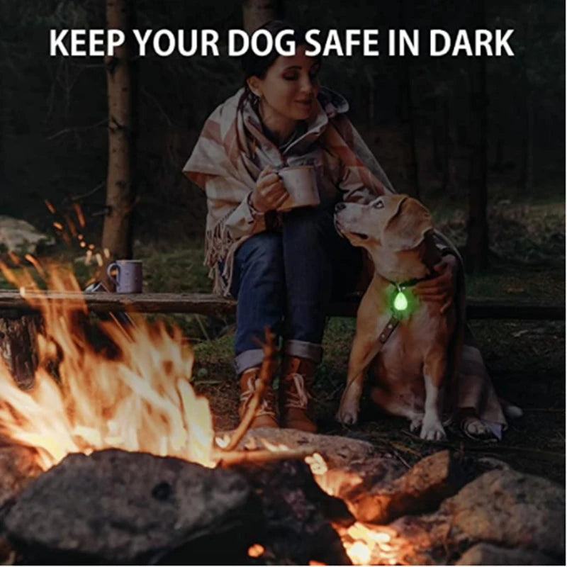 LED Dog Collar Light – Colorful Flashing Pet Safety Light