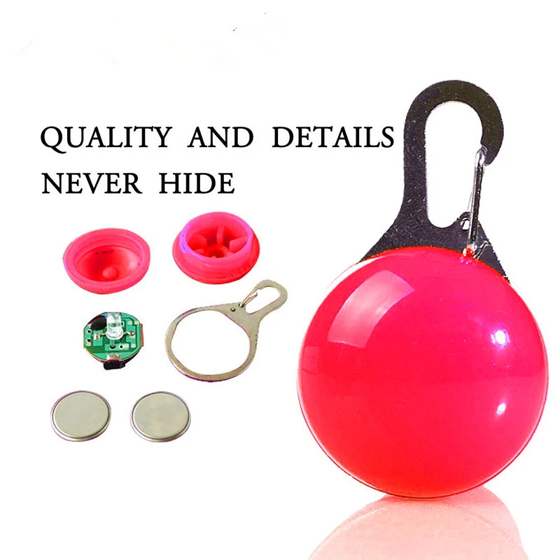 LED Dog Collar Light – Colorful Flashing Pet Safety Light