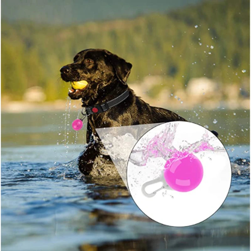 LED Dog Collar Light – Colorful Flashing Pet Safety Light