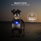 LED Dog Collar Light – Colorful Flashing Pet Safety Light