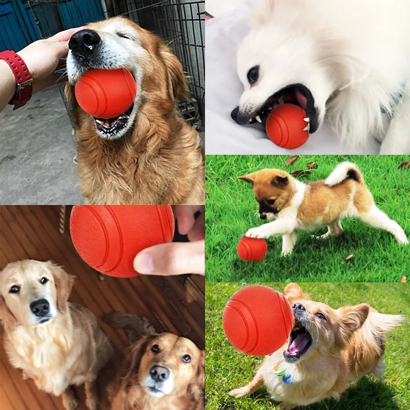 Rubber Dog Ball, Bite-Resistant Chew Toy for Puppies & Dogs
