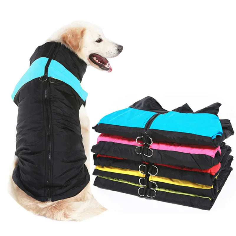 Winter Dog Coat – Waterproof Warm Jacket for Small to Large Dogs