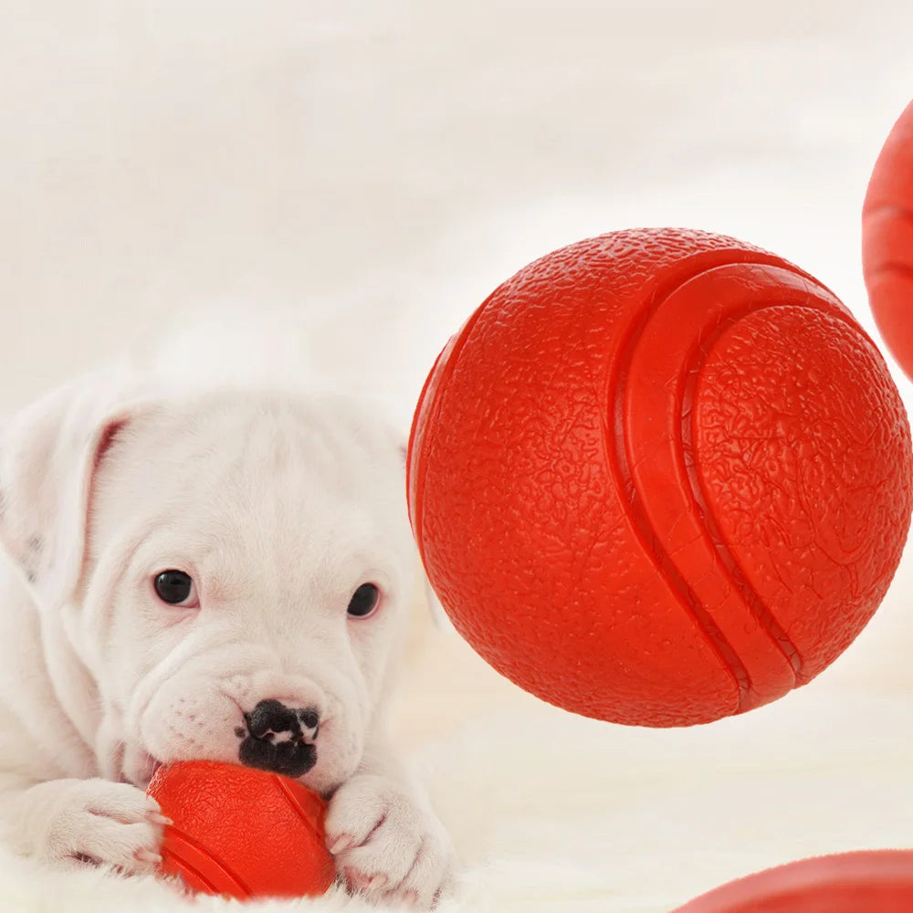 Rubber Dog Ball, Bite-Resistant Chew Toy for Puppies & Dogs