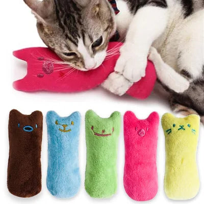 Catnip Cat Toy – Toy for Cats & Kittens