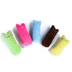 Catnip Cat Toy – Toy for Cats & Kittens