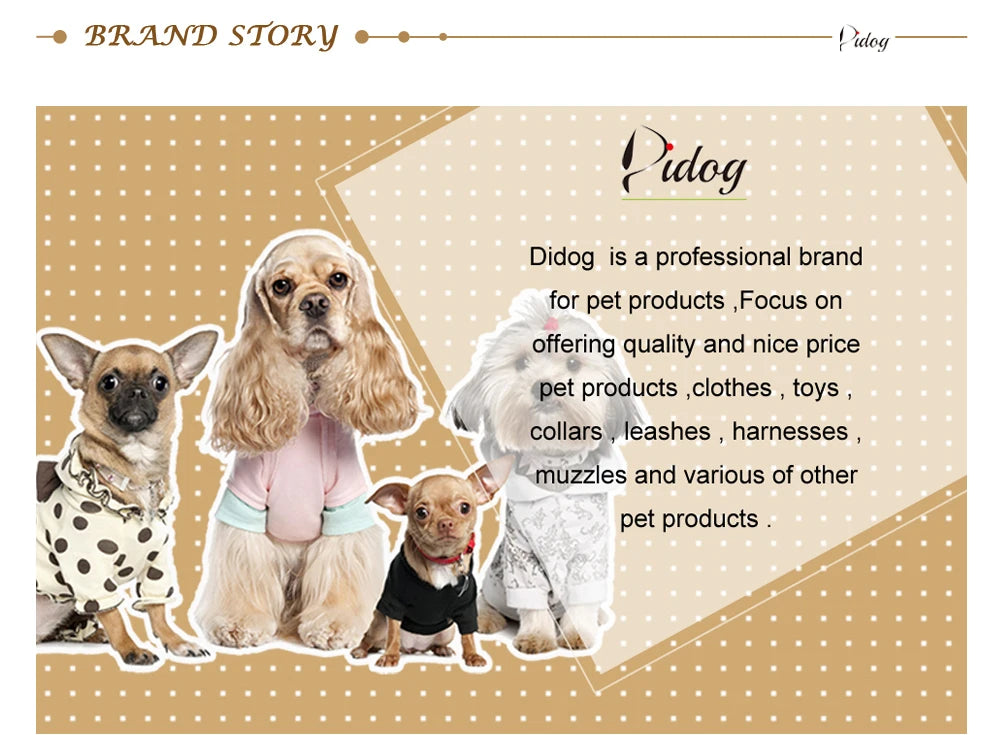 Dog Harness Leash Set, Soft Adjustable Harness & Collar for Small Dogs