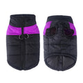 Winter Dog Coat – Waterproof Warm Jacket for Small to Large Dogs