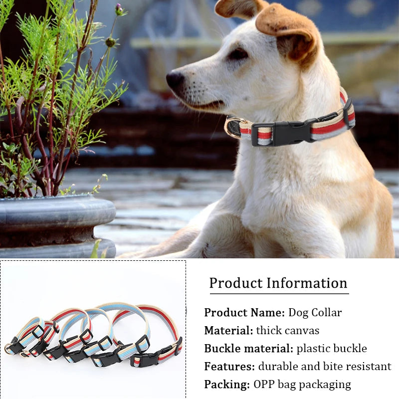 Canvas Dog Collar and Leash Set