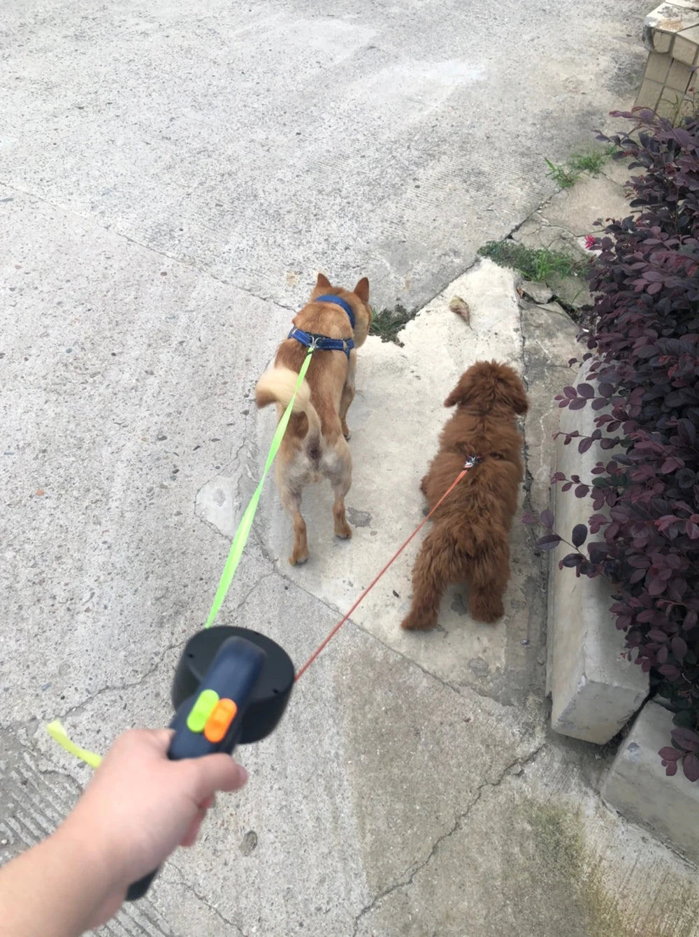 Retractable Dog Leash – 3m Reflective Double Lead with Lights