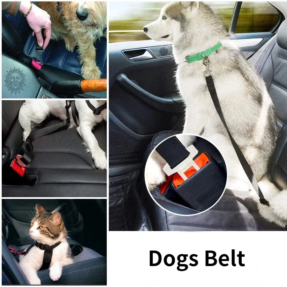 Dog Car Seat Belt – Adjustable Pet Safety Harness with Quick Release