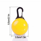 LED Dog Collar Light – Colorful Flashing Pet Safety Light