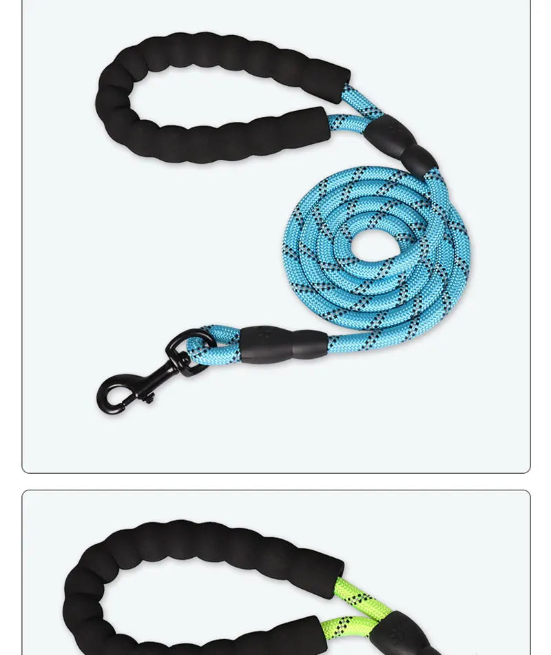 Reflective Dog Leash – Nylon Walking Lead with Quick Release
