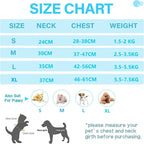 Cat Harness and Leash