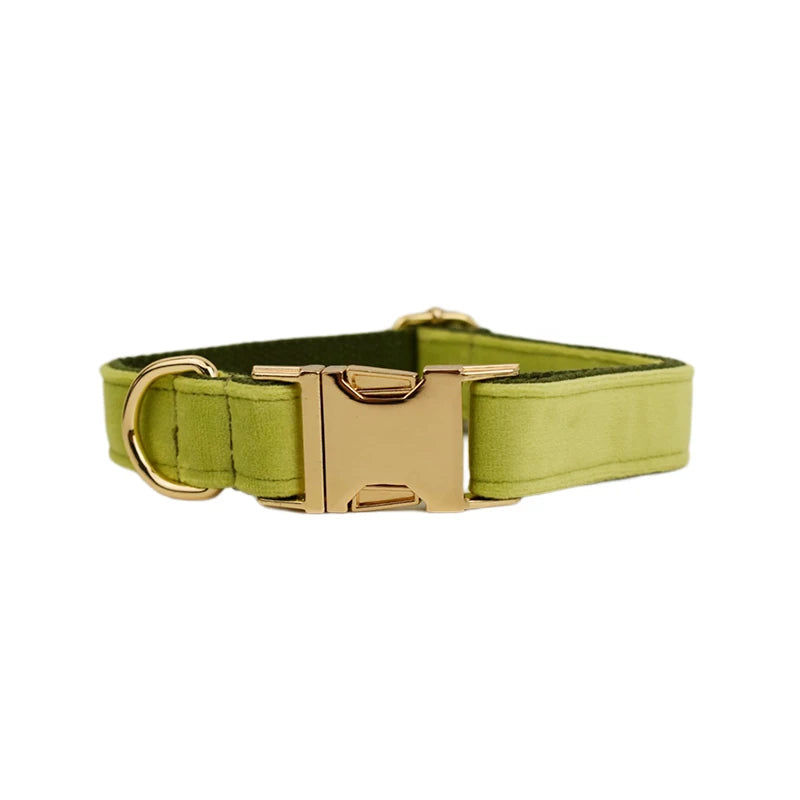 Dog Collar and Leash Set, Adjustable Velvet Collar with Gold Detail