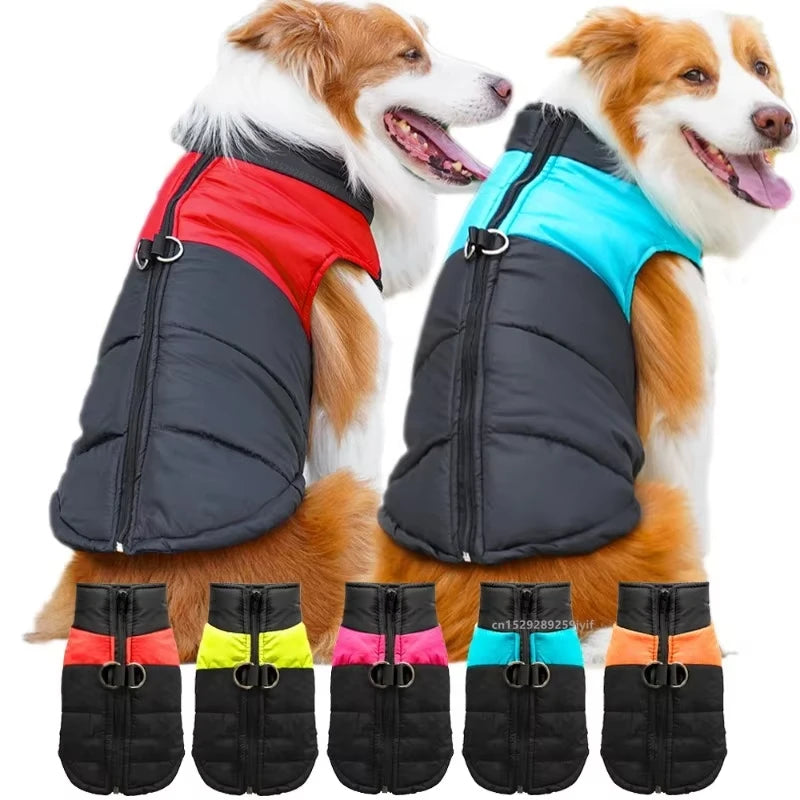 Dog Winter Coat Waterproof Warm Padded Jacket for Dogs