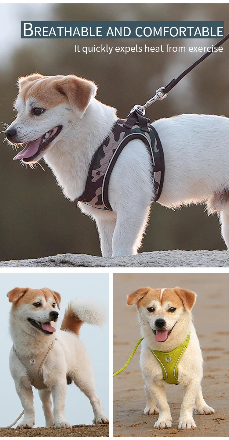Cat Harness and Leash Set – Reflective Adjustable Vest