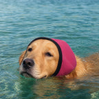 Dog Anxiety Head Cover – Calming Nylon Head Wrap
