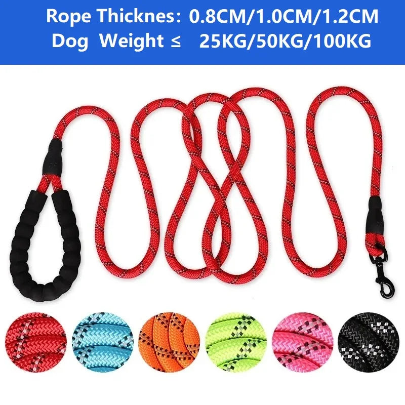 Nylon Dog Leash – Soft Handle Reinforced Lead for Daily Walks