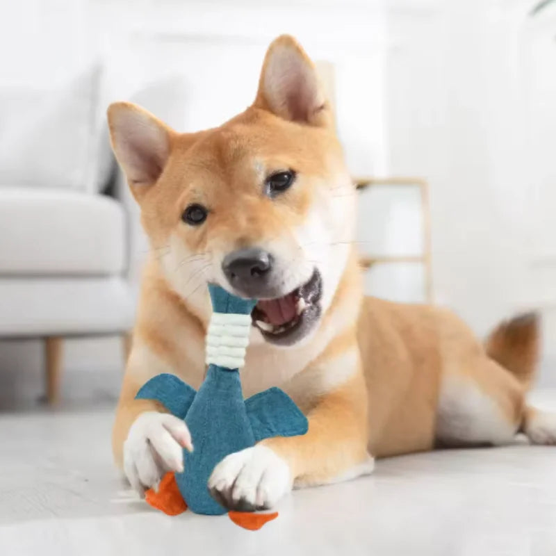 Catnip Cat Toy – Plush Teeth Grinding & Interactive Chew Toy
