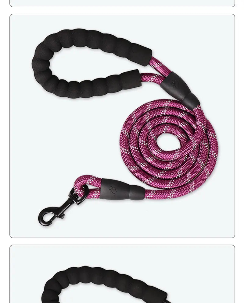 Reflective Dog Leash – Nylon Walking Lead with Quick Release