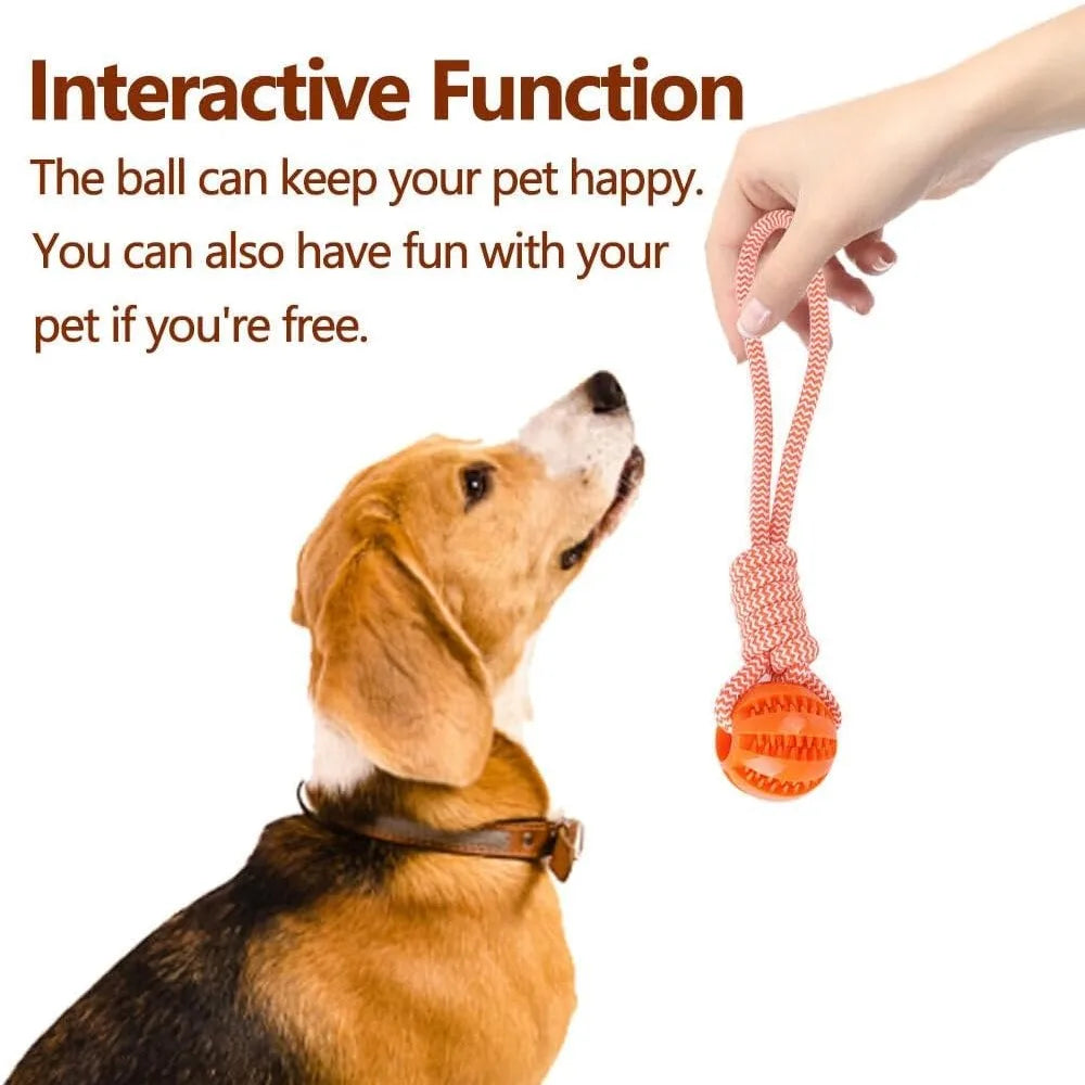Dog Hollow Ball Toy Rubber Chew Toys for Dogs Cleaning Teeth Molar Bite Resistant Toy with Bell Puppy Training Game