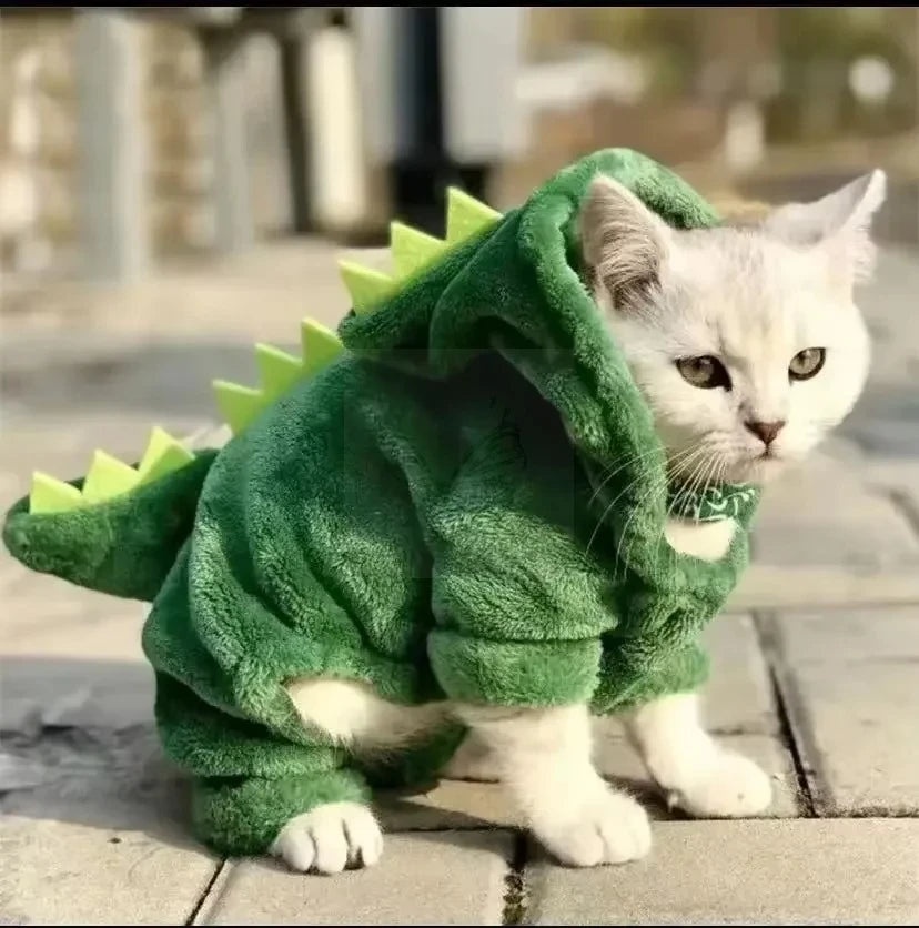 Halloween Dog Costume