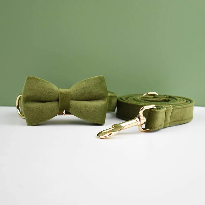 Dog Collar and Leash Set, Adjustable Velvet Collar with Gold Detail