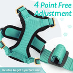 Cat Harness and Leash – Soft Adjustable Vest for Walking