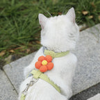 Cat Harness and Leash Set – Adjustable Small Pet Walking Harness