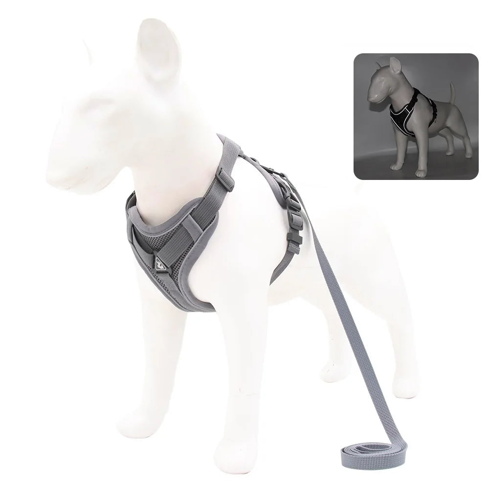 Small Dog Harness and Leash Set – Adjustable Vest