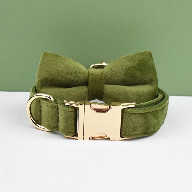 Dog Collar and Leash Set, Adjustable Velvet Collar with Gold Detail