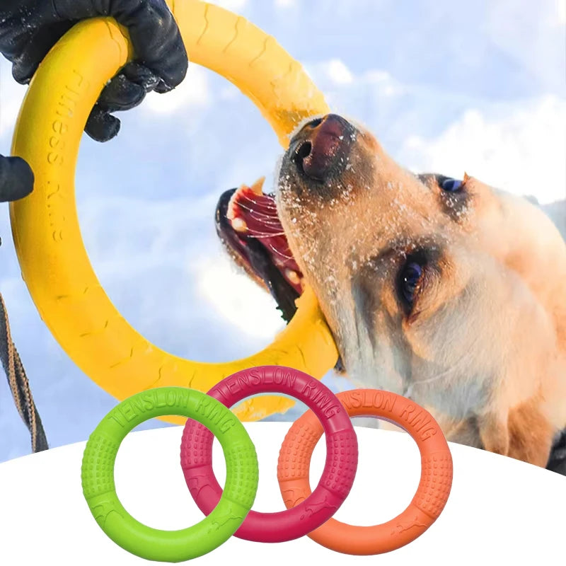 Dog Training Ring – Rubber Interactive Fetch & Flying Disc Toy