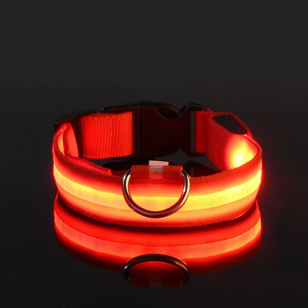 LED Dog Leash, Light-Up Nylon Safety Leash for Night Walking
