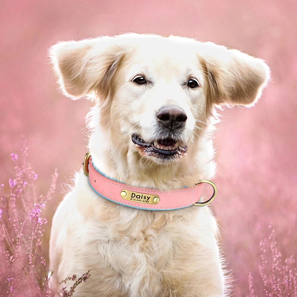 Personalized Dog Collar, Adjustable Padded PU Leather Collar