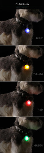 Rechargeable Dog Collar Light – LED Pet Safety Pendant