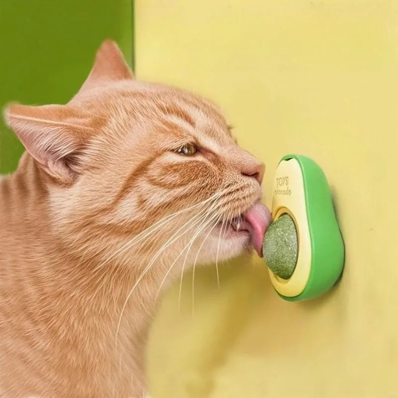 Catnip Ball Cat Toy – Teeth Cleaning & Interactive Dental Toy