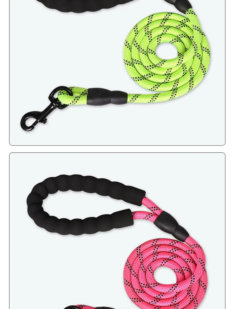 Reflective Dog Leash – Nylon Walking Lead with Quick Release