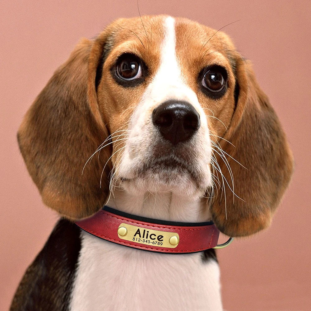 Personalized Dog Collar, Adjustable Padded PU Leather Collar