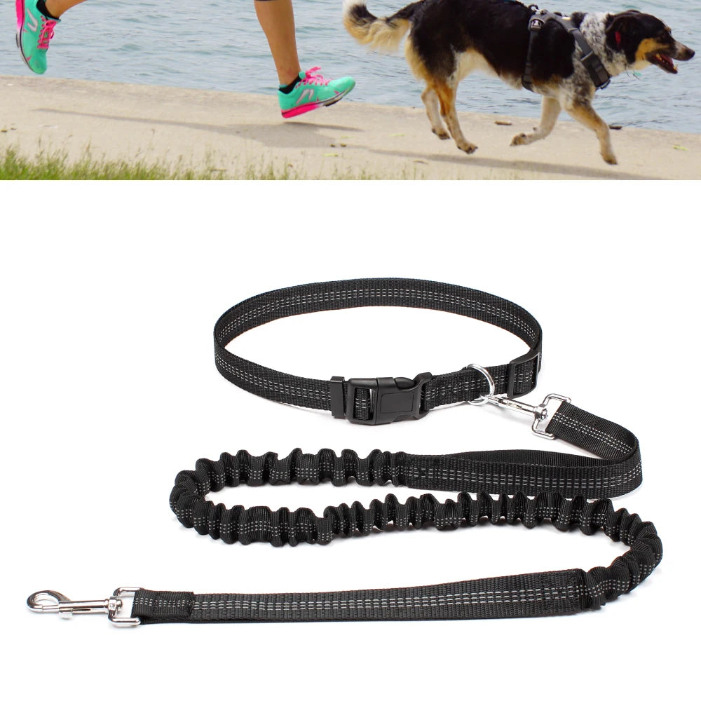 Hands Free Dog Leash