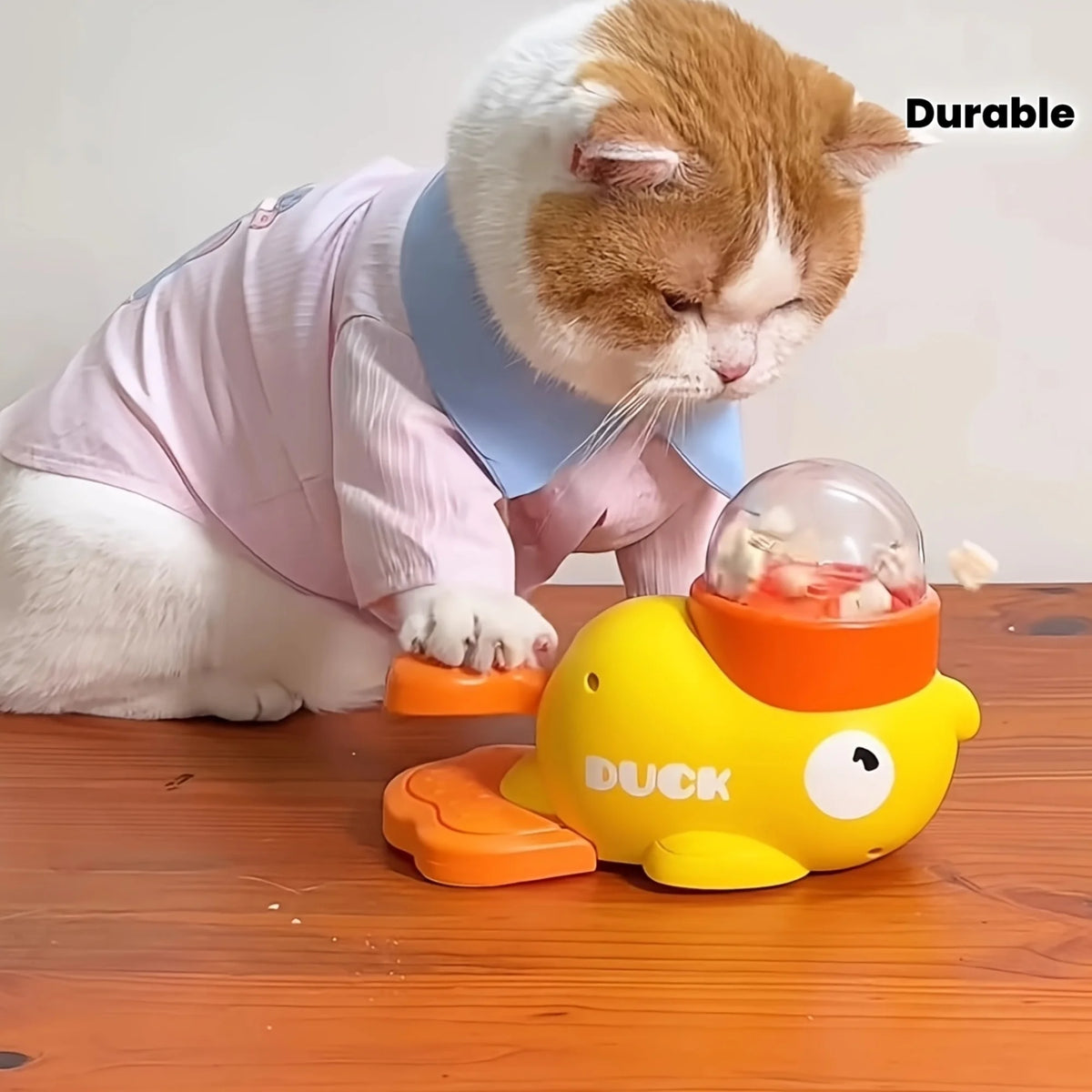 Cat Toys