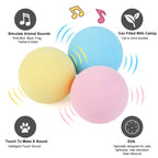 Interactive Cat Toy Ball, Catnip Squeaky Toy with Animal Sounds
