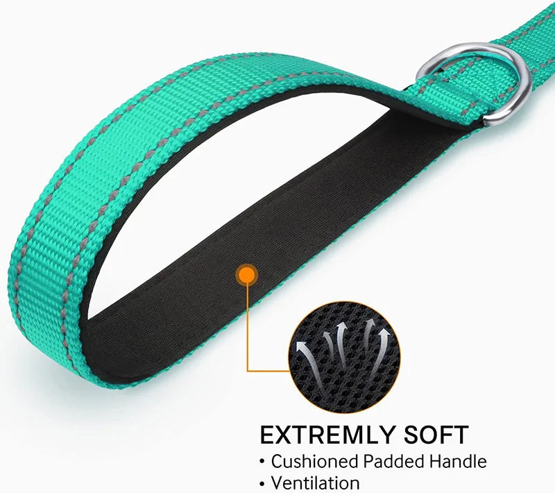 Reflective Dog Leash – Nylon Night Walking & Training Lead