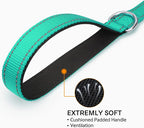 Reflective Dog Leash, Nylon Walking and Training Lead for Night